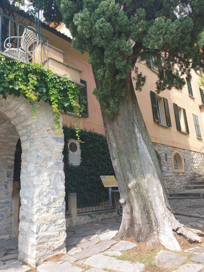 Valsolda Caffe Del Viaggiatore מראה חיצוני תמונה